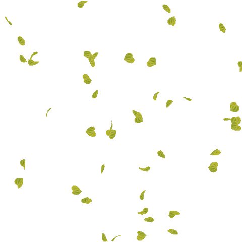 Leaf Gif